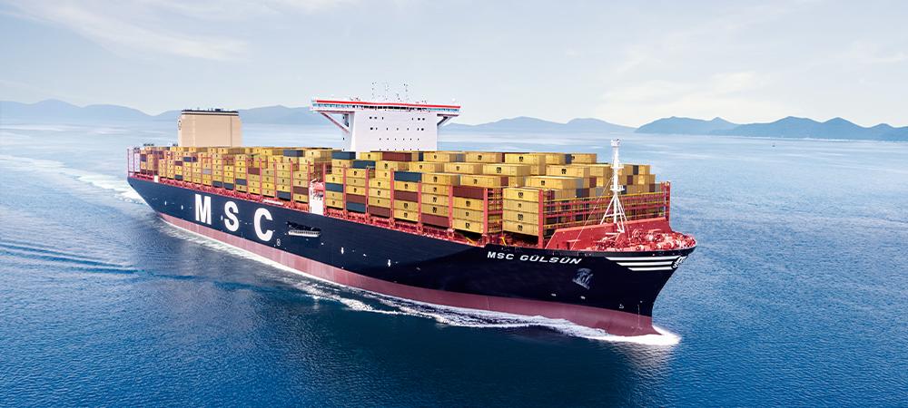 MEDITERRANEAN SHIPPING COMPANY (MSC)