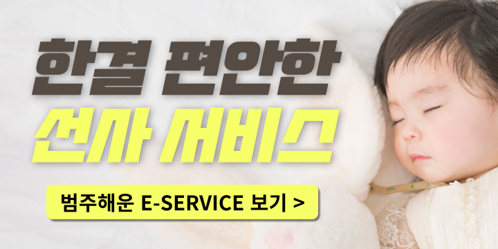 E서비스로 편안한 선사 서비스
